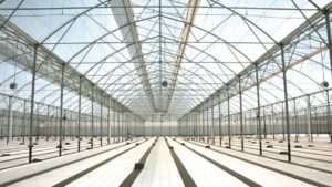 Soluciones integrales en invernadero con Invermex
