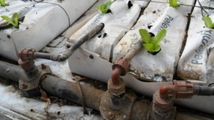 Manejo afinado de la preparación de la solución nutritiva