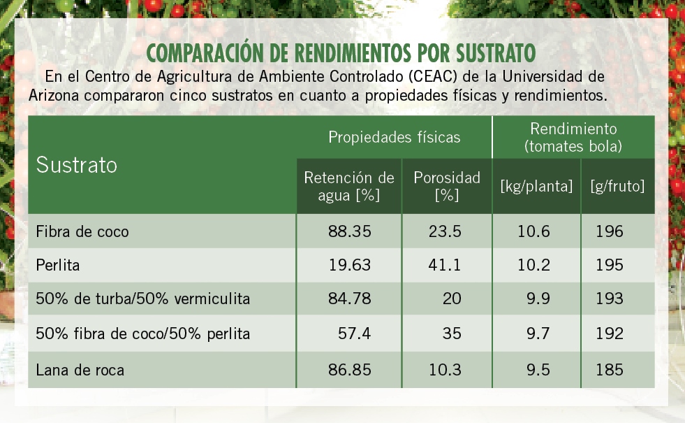 Ventajas y desventajas de 6 opciones de producción sin suelo