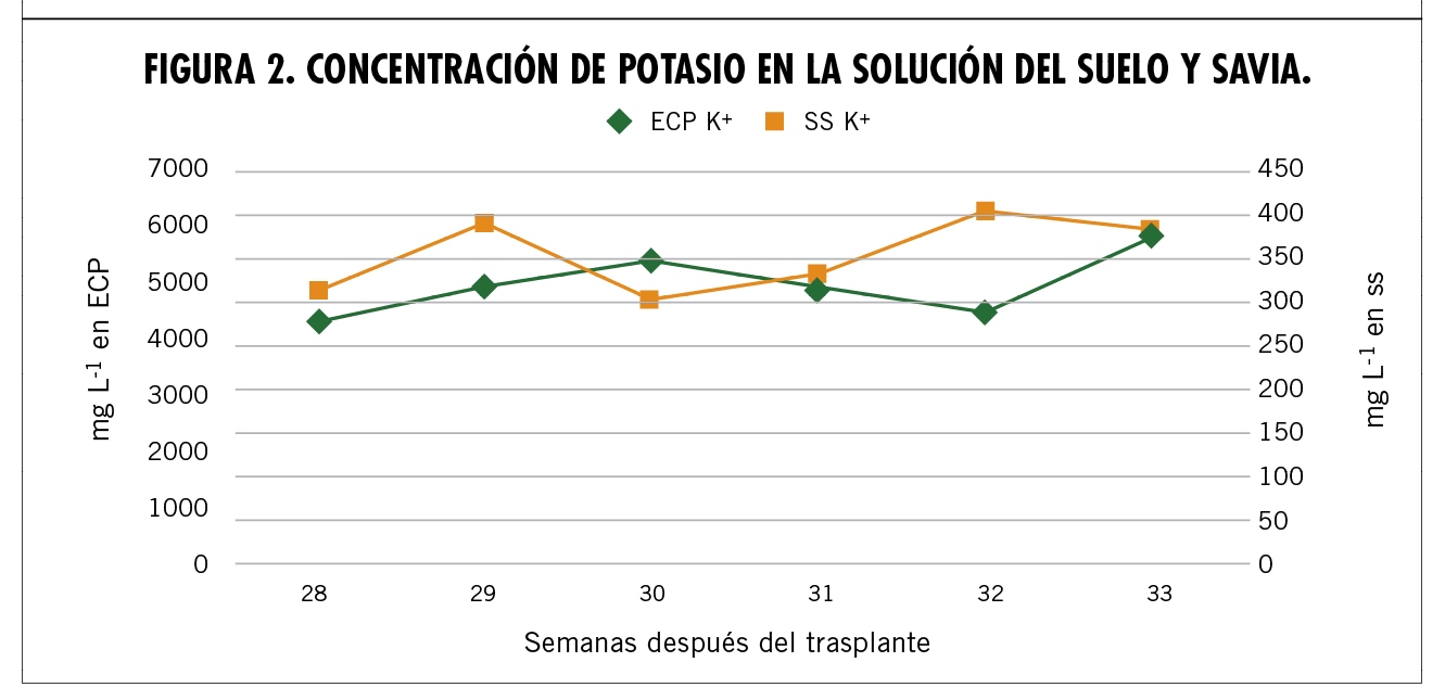 Monitoreo de la nutrición de la planta de tomate mediante sensores portátiles