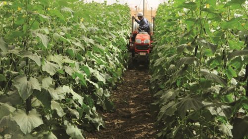 Cómo la tecnología ayuda a resolver los retos de los productores