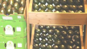 El aguacate mexicano tendrá un mercado favorecedor en los siguentes meses