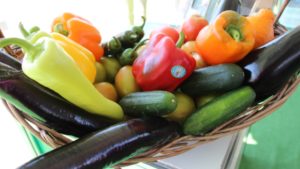 Sanidad vegetal bionanfemtotecnológica para la hiperproducción vegetal