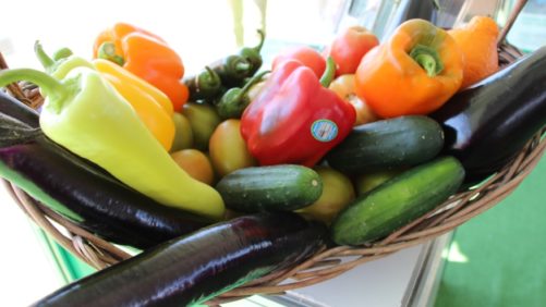 Sanidad vegetal bionanfemtotecnológica para la hiperproducción vegetal