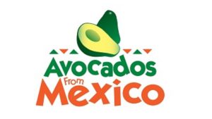 Información y conocimiento: líneas de actuación del aguacate mexicano