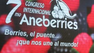 Congreso Aneberries se enfoca en cómo materializar oportunidades emergentes