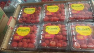 El oro rojo de México: comercialización de la frambuesa mexicana