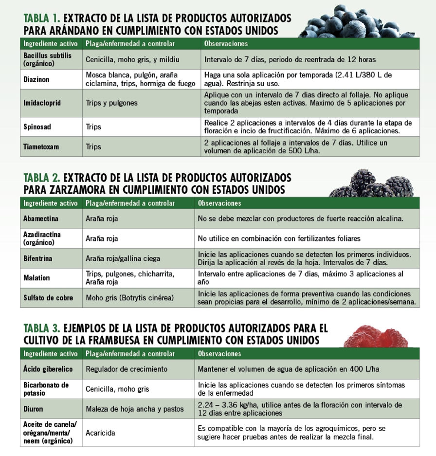Tratamientos autorizados para producir berries para exportación