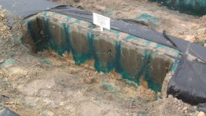 Un colorante ayuda a medir la retención del riego en suelos arenosos