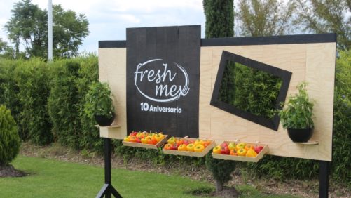 FreshMex celebra 10 años de excelencia en horticultura protegida