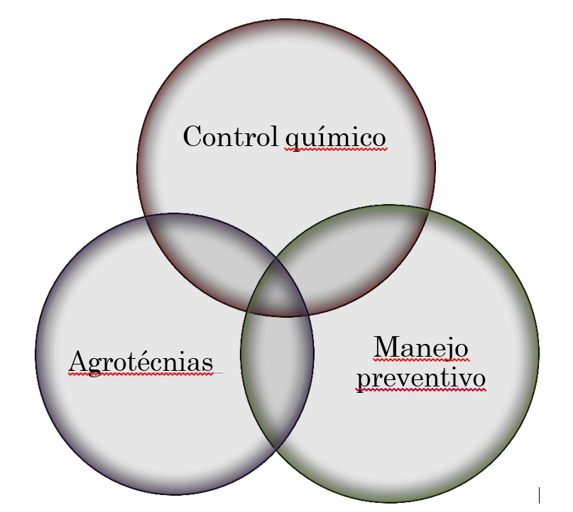 Guía para el control de nemátodos agalladores