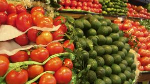 La posibilidad de la hiperproducción alimentaria y factores térmicos y energéticos