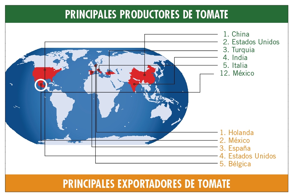 Resumen infográfico de la fuerza tomatera de México