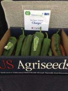 Presenta US Agriseeds / Voloagri sus nuevas variedades