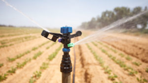 En México, menos del 3% de la superficie que se riega se hace con métodos de microirrigación