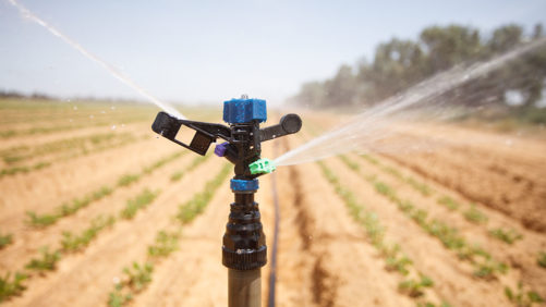 En México, menos del 3% de la superficie que se riega se hace con métodos de microirrigación