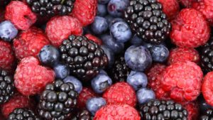 El éxito de las berries en Guanajuato