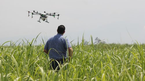 Webinar: Agricultura de precisión