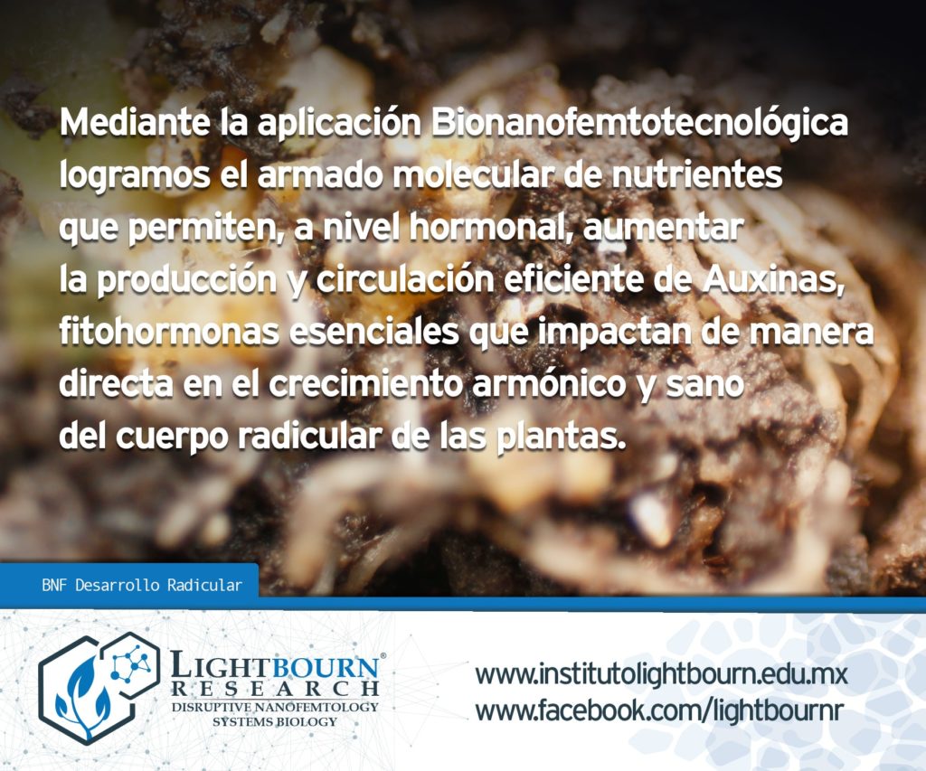 Seminario virtual: La Bionanofemtotecnología como factor clave para el desarrollo, crecimiento, consolidación y fortaleza del cuerpo radicular de las plantas