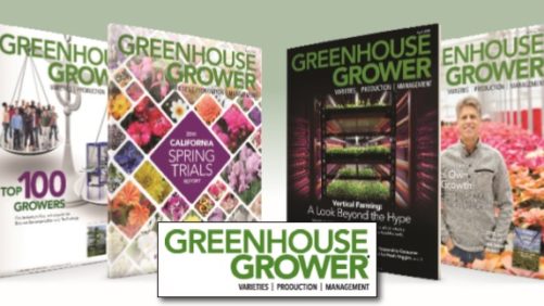 Greenhouse Grower marca la pauta para la revista Productores de Hortalizas de hoy en día