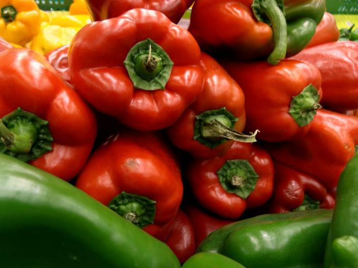 Pimientos y chiles, cultivos estratégicos de México
