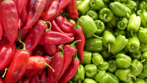 Pimientos y chiles, cultivos estratégicos de México