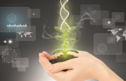Cultivar el negocio agrícola a través del “Internet de las Cosas”
