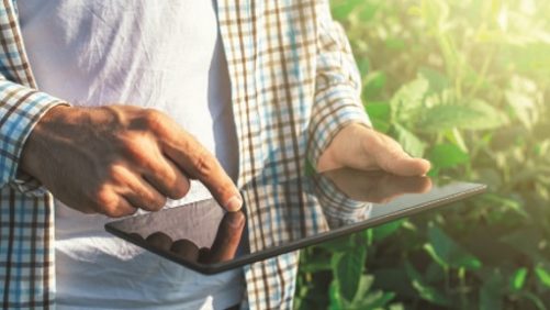 El perfil del agrónomo de la nueva era