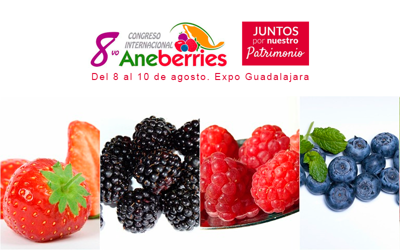 Asiste al 8vo Congreso Internacional Aneberries