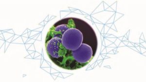 El mundo de la bionanotecnología  en la inocuidad alimentaria (PARTE I)