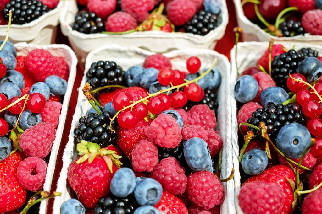 Perspectivas de la industria mexicana de berries