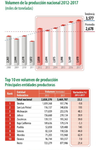 Japón: interesante mercado potencial para el tomate mexicano