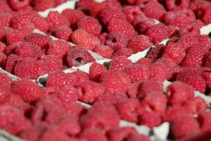 Perspectivas de la industria mexicana de berries