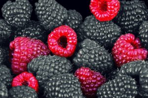 Perspectivas de la industria mexicana de berries