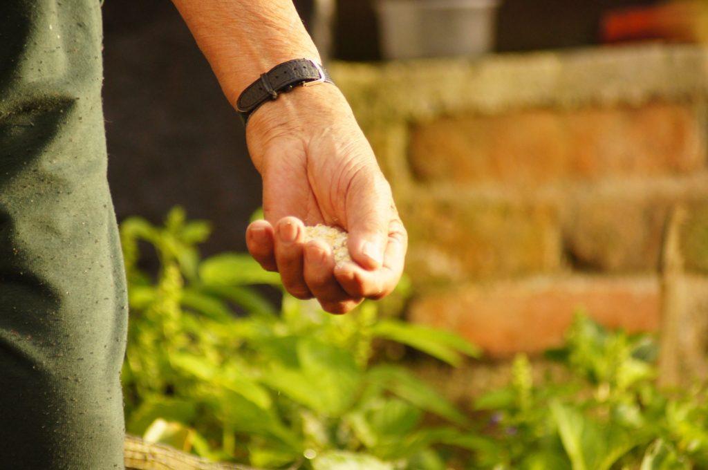 El secreto de la felicidad detrás del agricultor