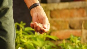 El secreto de la felicidad detrás del agricultor