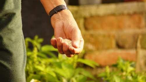 El secreto de la felicidad detrás del agricultor