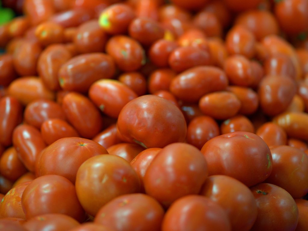 Japón: interesante mercado potencial para el tomate mexicano