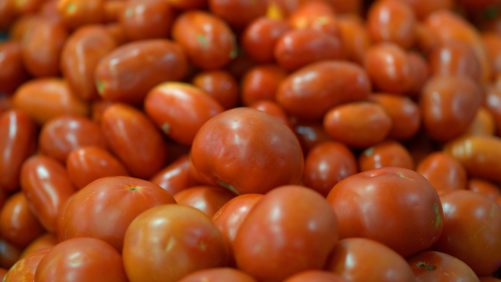 Finalmente, EE.UU impone arancel de 17.5% al tomate mexicano