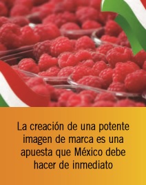 Posibilidades comerciales del mercado europeo para las berries de México