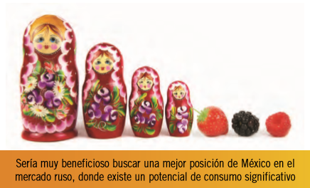 Posibilidades comerciales del mercado europeo para las berries de México