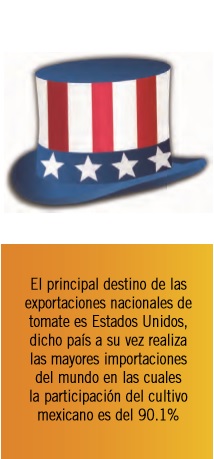 ¿Hacia dónde camina el tomate mexicano?