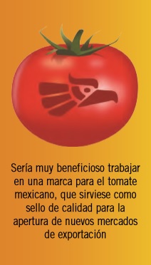 ¿Hacia dónde camina el tomate mexicano?