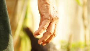 El sector social agrícola y su futuro