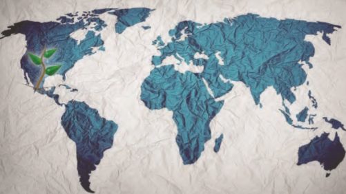 Meister Media Worldwide de México: una gama de oportunidades para ti y tu negocio