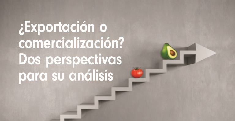 ¿Exportación o comercialización? Dos perspectivas para su análisis