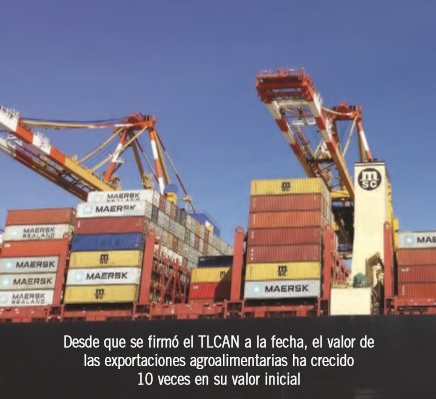 ¿Exportación o comercialización? Dos perspectivas para su análisis