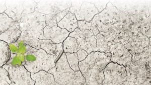 Huella agrológica: el nuevo paradigma de los mercados de consumo de exportación