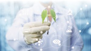 El universo de la genética  en el campo