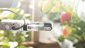 La evolución de la tecnología, el costo-beneficio